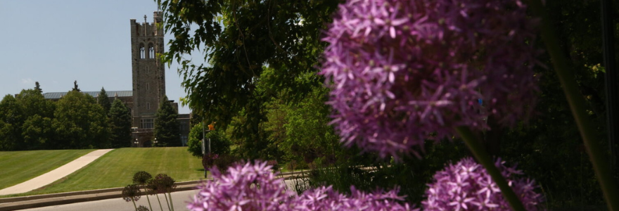 banner campus
